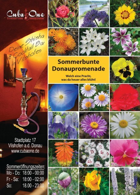 'sGÖTZmagazin - Sommer 2015