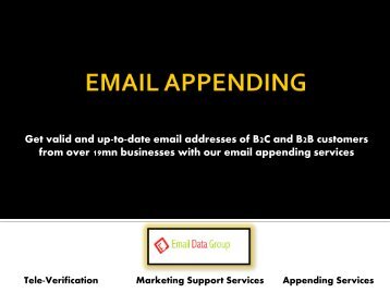 Best Email Appending Services