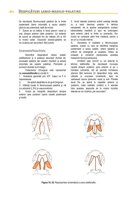 Compendiu-de-chirurgie-OMF-Prof-Bucur-Vol-II.pdf