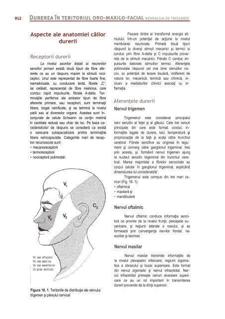 Compendiu-de-chirurgie-OMF-Prof-Bucur-Vol-II.pdf