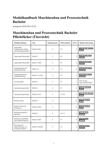 Modulhandbuch [PDF] - Prof. Dr.-Ing. Damian Weber