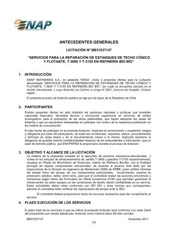 ANTECEDENTES GENERALES - Enap