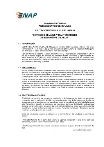 MINUTA EJECUTIVA ANTECEDENTES GENERALES ... - Enap