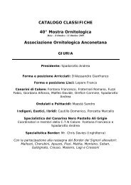 classifiche - Team Ornitologico 