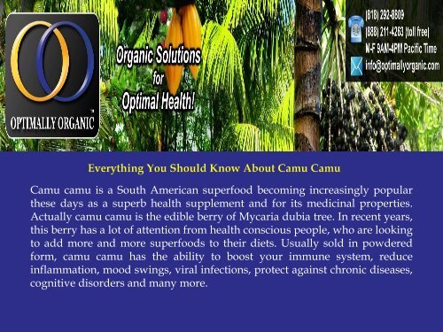 Everything You Should Know About Camu Camu.pdf