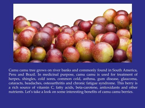 Everything You Should Know About Camu Camu.pdf