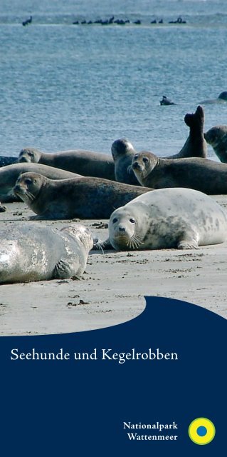 anschauen / herunterladen - Nationalpark Wattenmeer