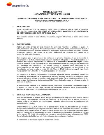 minuta ejecutiva licitación contrato n° tr31041391 “servicio ... - Enap