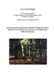 (Buchen-)Waldgesellschaften und ihrer Wirtschaftsformen im Jung