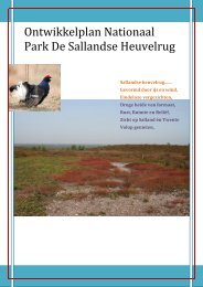 Ontwikkelingsplan Sallandse Heuvelrug Document - De Sallandse ...