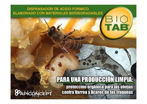 acido formico
