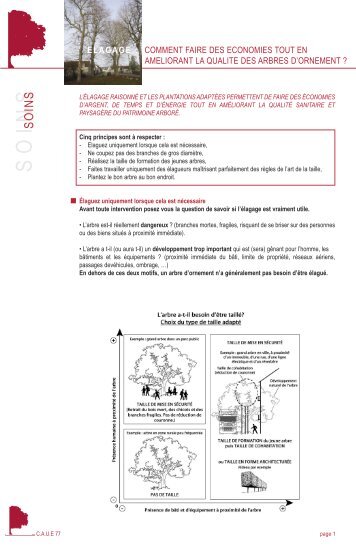 Elagage. comment faire des Ã©conomies tout en ... - Caue 77