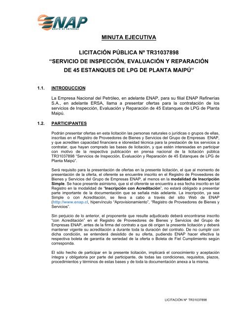 minuta ejecutiva licitación pública nº tr31037898 “servicio de ... - Enap