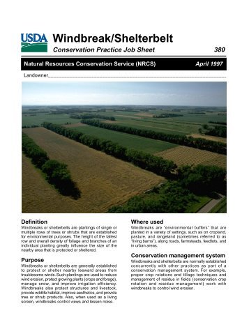 Windbreak/Shelterbelt - Small Farms / Alternative Enterprises