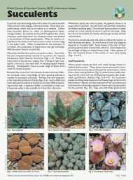 Succulents - British Cactus & Succulent Society