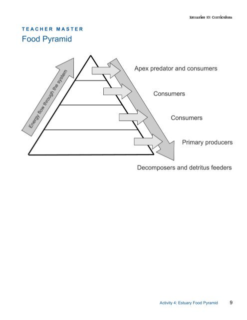Food Pyramid Estuaries Noaa