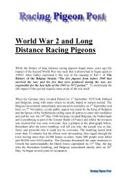 World War 2 and Long Distance Racing Pigeons