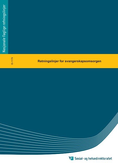 faglige retningslinjer diabetes mellitus