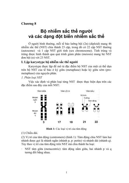 Bộ nhiễm sắc thể người và các dạng đột biến nhiễm sắc thể