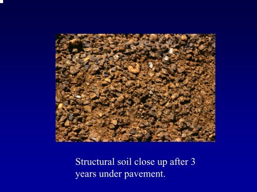 Structural Soils