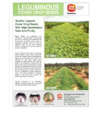 Leguminous Cover Crop Seeds - Sime Darby Plantation