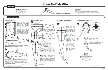 Kono Catfish Kite - Drachen Foundation