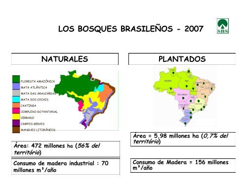 IMPORTANCIA DE LOS BOSQUES PLANTADOS EN BRASIL ...