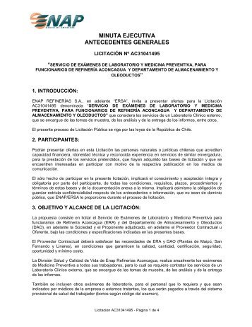 MINUTA EJECUTIVA ANTECEDENTES GENERALES - Enap