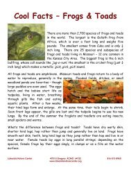 Cool Facts â Frogs & Toads - Lakeside Nature Center