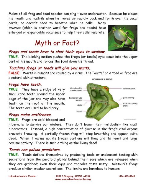 Cool Facts â Frogs & Toads - Lakeside Nature Center