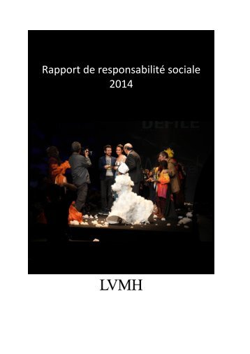 rapport-rse-2014