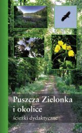 Puszcza Zielonka - Wirtualne Muzeum Pobiedzisk - Pobiedziska