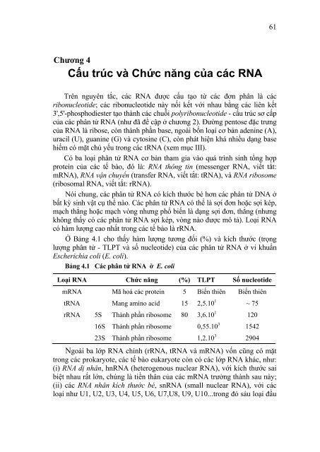 Chức năng của Nucleic Acid: Khám phá vai trò quan trọng của DNA và RNA