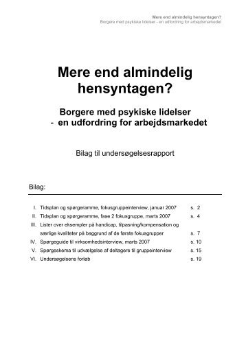 Bilag til rapporten i pdf-format - LAP