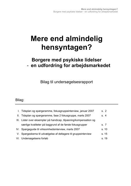 Bilag til rapporten i pdf-format - LAP