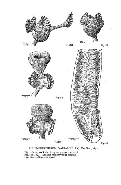 Cover Sheet (included as part of the digital file)