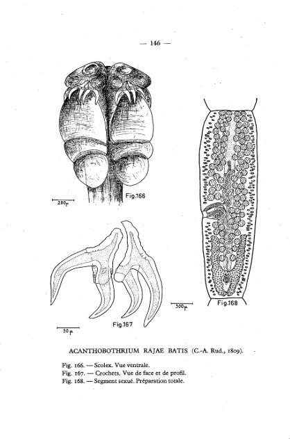 Cover Sheet (included as part of the digital file)