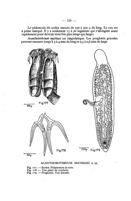 Cover Sheet (included as part of the digital file)