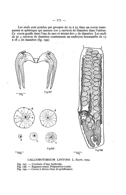 Cover Sheet (included as part of the digital file)