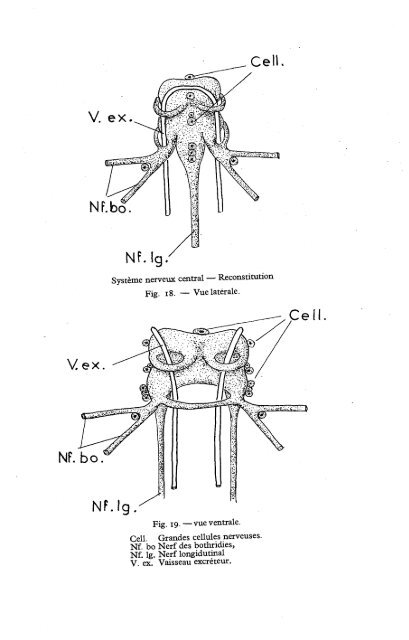 Cover Sheet (included as part of the digital file)