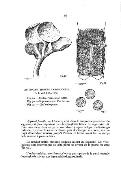 Cover Sheet (included as part of the digital file)