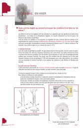 L'arbre en hiver - Caue 77