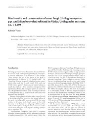 Biodiversity and conservation of smut fungi - mycologia balcanica
