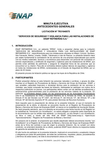 Minuta WEB Ejecutiva TR31040575 - Enap