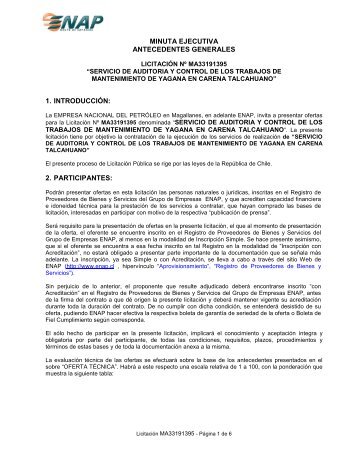 minuta ejecutiva antecedentes generales 1. introducción: 2 ... - Enap