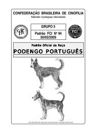 PODENGO PORTUGUÃS - CBKC