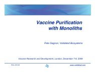 Vaccine Purification with Monoliths - Validated