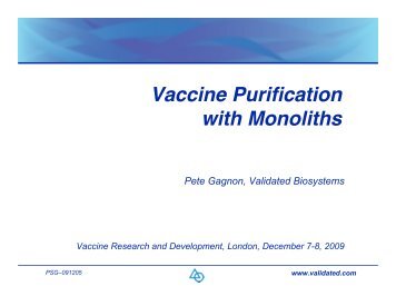 Vaccine Purification with Monoliths - Validated