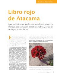 Revista Ecoamerica Abril 2007.pdf - Instituto de Ecología y ...