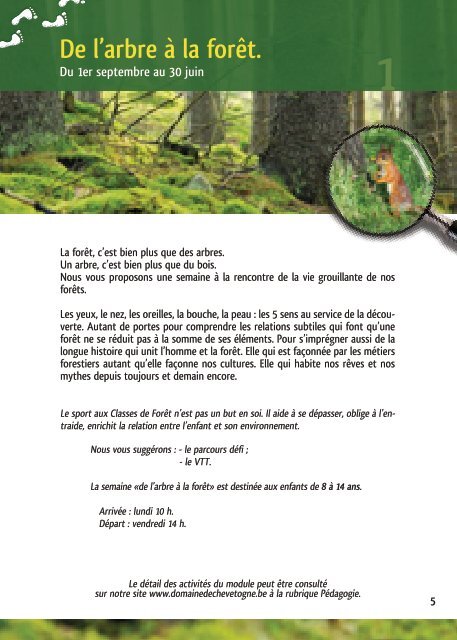 Les classes de forÃªt - Domaine Provincial de Chevetogne